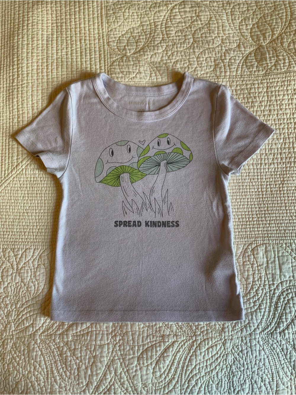 American Eagle Outfitters graphic cropped baby tee